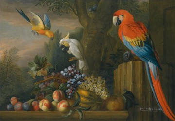 perroquets mangeant des raisins Peinture à l'huile